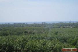 9988 Sq.m. of Land with Sea Views in Mai Khao 9988 Sq.m. of Land with Sea Views in Mai Khao