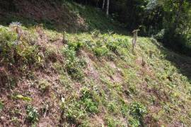 Prime Hillside with Lake Overview Land 2,023 sq. m Rai in Kathu near Loch Palm and Red Mountain Golf Courses