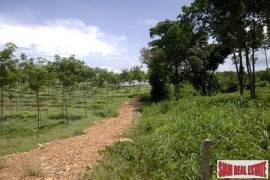 5 Rai of Land on Ko Lanta above Long Beach