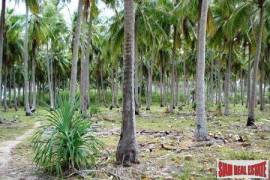100m Sea View Land - Only 5 Rai!
