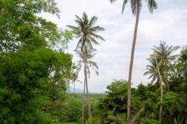 Luxury Studio Villa with Private Pool on Exclusive Maphrao Island