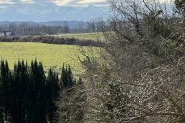 Elegant Manor House with Renovated Outbuilding - Ideal for Seminars, Yoga Retreats, or Luxury Guest House