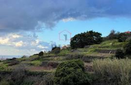 Mixed Land - 2790 sqm - Gaula