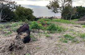 Mixed Land - 2790 sqm - Gaula