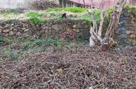 Mixed Land - 2790 sqm - Gaula