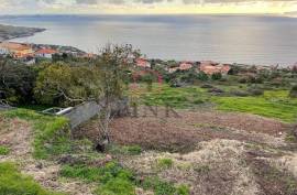 Mixed Land - 2790 sqm - Gaula