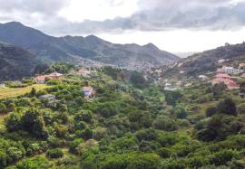 Construction land 690 m2 - Machico