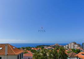 House - 3 Bedrooms - Funchal