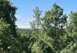 Charming country cottage