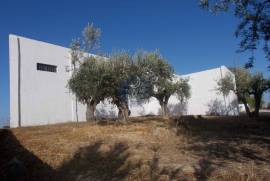 Warehouse of 360 m2 on 3,800 m2 of land.