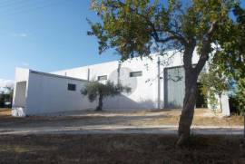 Warehouse of 360 m2 on 3,800 m2 of land.