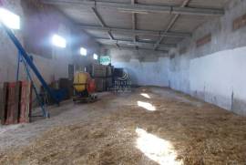 Warehouse of 360 m2 on 3,800 m2 of land.