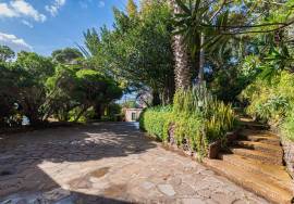 Luxury Mansion with Sea View - T3 in Caniçal