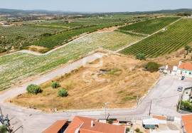 Land Borba Barro Branco