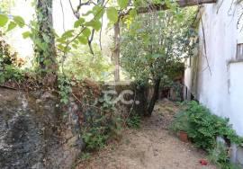 Single storey house with 730 m2 land in the center of Vila do Avelar.