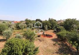 Single storey house with 730 m2 land in the center of Vila do Avelar.