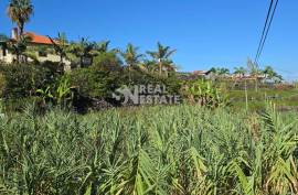 Land in Ponta Delgada | Saint Vincent | Madeira Island