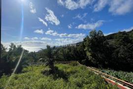 Opportunity | House T2 | Mountain View | Ribeira Brava | Madeira Island