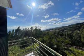 Opportunity | House T2 | Mountain View | Ribeira Brava | Madeira Island