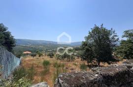 Land with 20,000 m2 next to the N17 National