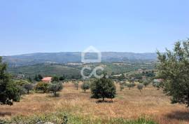 Land with 20,000 m2 next to the N17 National