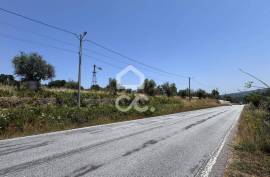 Land with 20,000 m2 next to the N17 National