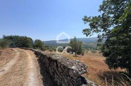Land with 20,000 m2 next to the N17 National
