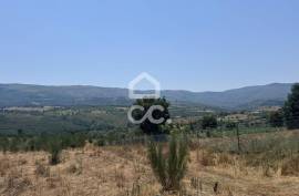 Land with 20,000 m2 next to the N17 National