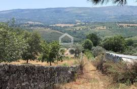 Land with 20,000 m2 next to the N17 National