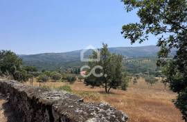 Land with 20,000 m2 next to the N17 National