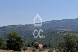 Land with 20,000 m2 next to the N17 National