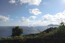 House 4 Bedrooms - Serretinha
