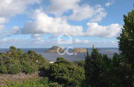 House 4 Bedrooms - Serretinha