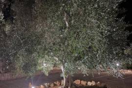 Luxury 3 Villa for Sale In Ostuni Puglia
