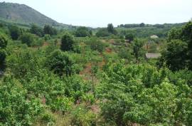 Vineyard With Villa Plans for Sale In Trecastagni Sicily