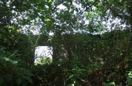 Vineyard With Villa Plans for Sale In Trecastagni Sicily