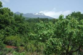 Vineyard With Villa Plans for Sale In Trecastagni Sicily