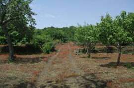Vineyard With Villa Plans for Sale In Trecastagni Sicily