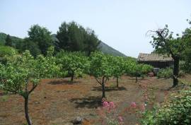 Vineyard With Villa Plans for Sale In Trecastagni Sicily