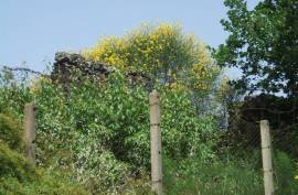 Vineyard With Villa Plans for Sale In Trecastagni Sicily