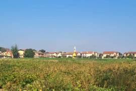 Excellent Plot of land for sale in Silvelle di Trebaseleghe Padua Veneto