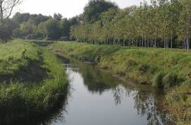 Excellent Plot of land for sale in Silvelle di Trebaseleghe Padua Veneto