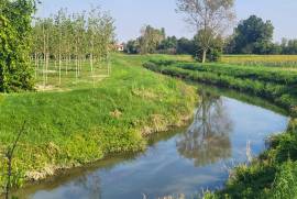 Excellent Plot of land for sale in Silvelle di Trebaseleghe Padua Veneto