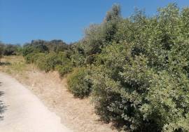 Land located in Córregos de Santa Luzia near Loulé