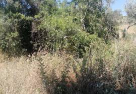 Land located in Córregos de Santa Luzia near Loulé