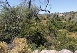 Land located in Córregos de Santa Luzia near Loulé