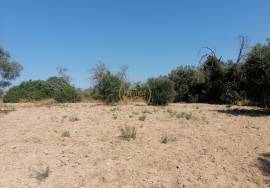 Flat land with good access located between Loulé and Boliqueime