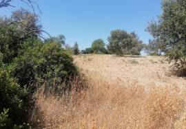 Flat land with good access located between Loulé and Boliqueime