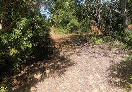 Flat land with good access located between Loulé and Boliqueime