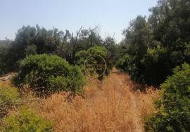 Flat land with good access located between Loulé and Boliqueime